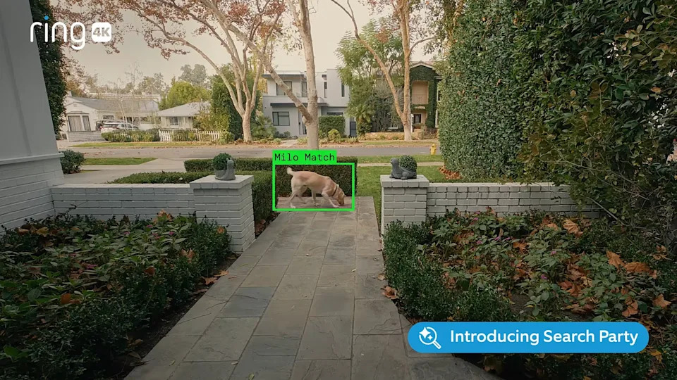 An image from a Search Party demonstration